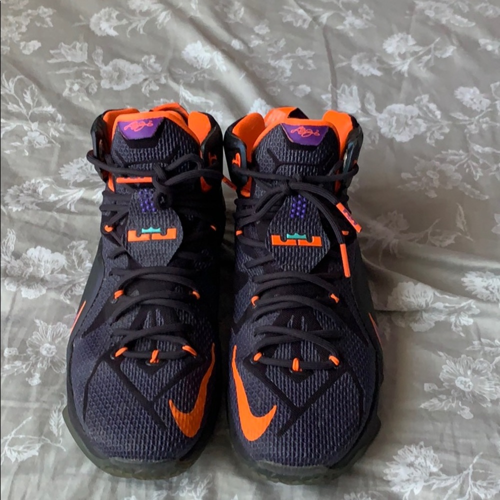 Lebron 12 instincts